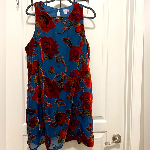 Xhilaration Dresses & Skirts - Velvet and Chiffon xhilaration floral Springtime SIZE Xxl Above Knee Blue Dress